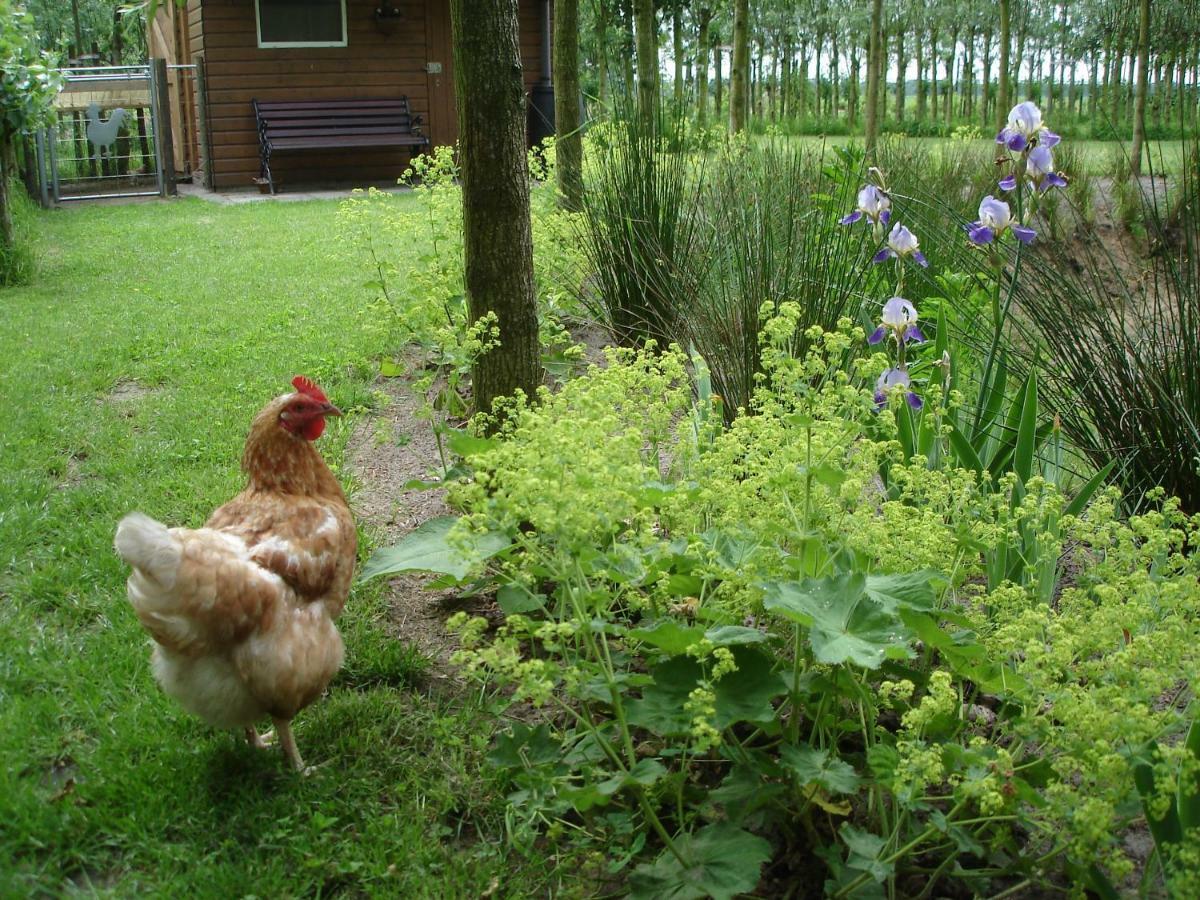 Ferienwohnung Ooldershoeve Onstwedde Exterior foto